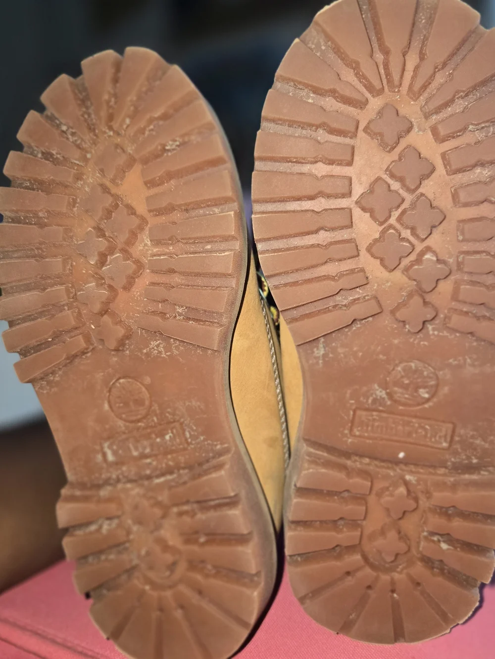 Timberland Kids Wheat Nubuck Ankle Boots